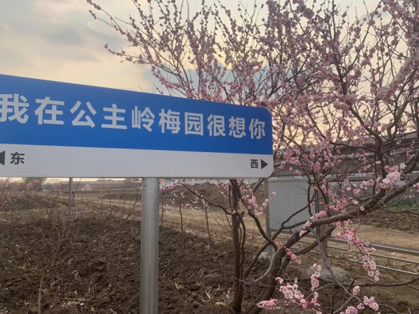 2024梅花文化艺术周活动在公主岭启幕(图2)