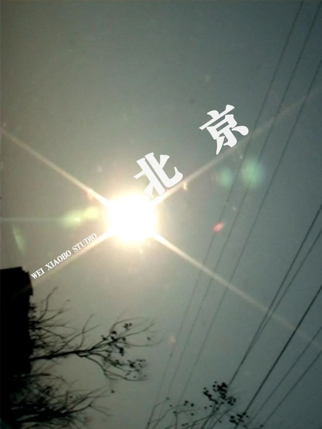 第二届“导演艺术展”参展艺术家及作品介绍(图32) 第二届“导演艺术展”参展艺术家及作品介绍(图32)