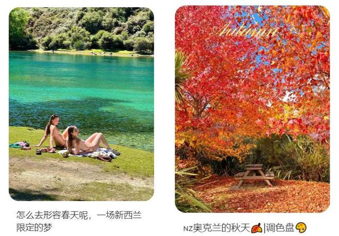 新西兰旅游局在中国打广告结果尴尬了……(图3)