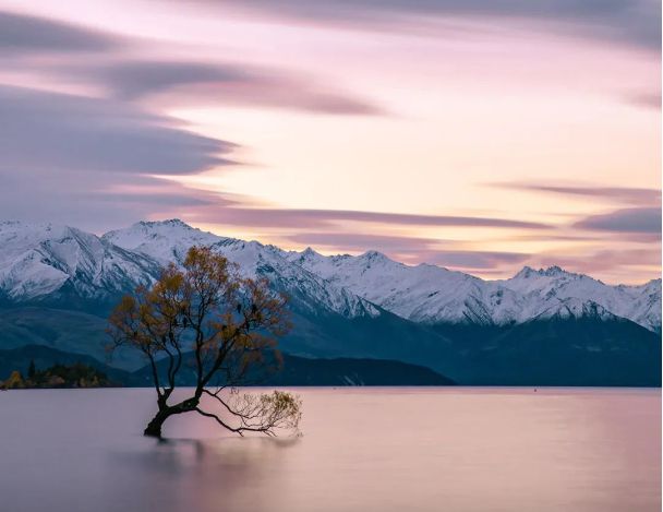 新西兰旅游局在中国打广告结果尴尬了……(图2)