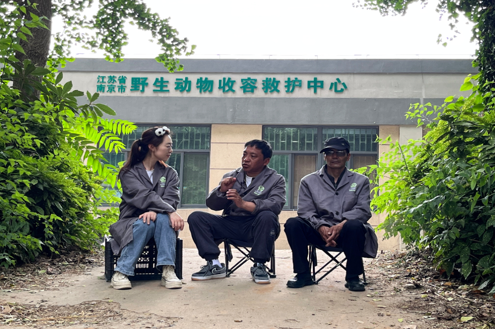 她们在西藏坚持公益做“高原生态守护者”口述史(图9) 她们在西藏坚持公益做“高原生态守护者”口述史(图9)