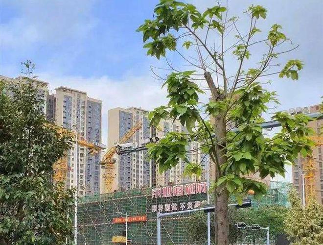官方发布：2024年9月最新京地海樾府房价价格详情房价单价64万(图1)