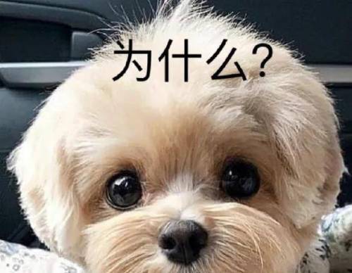 马面裙事件再上演?FENDI帮着韩国当起了文化小偷?(图22) 马面裙事件再上演?FENDI帮着韩国当起了文化小偷?(图22)